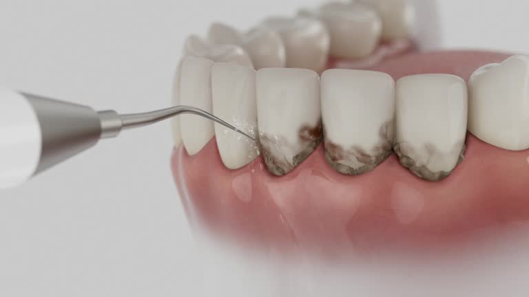 Reliable Dental contractor in Percy, IL by Dentist Open Now